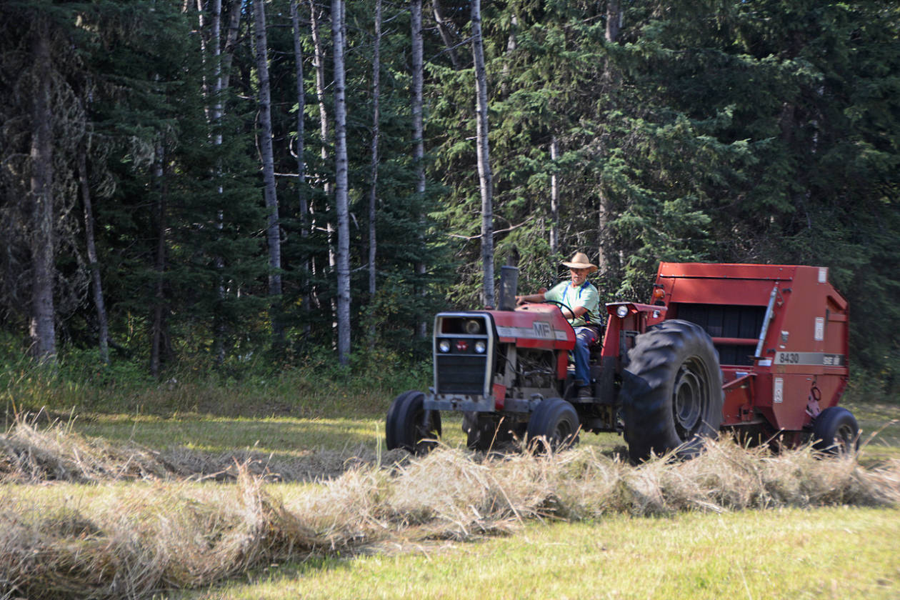 LIMESTONE MOUNTAIN RANCH HORSES, CATTLE, RECREATION Big Lake Ranch