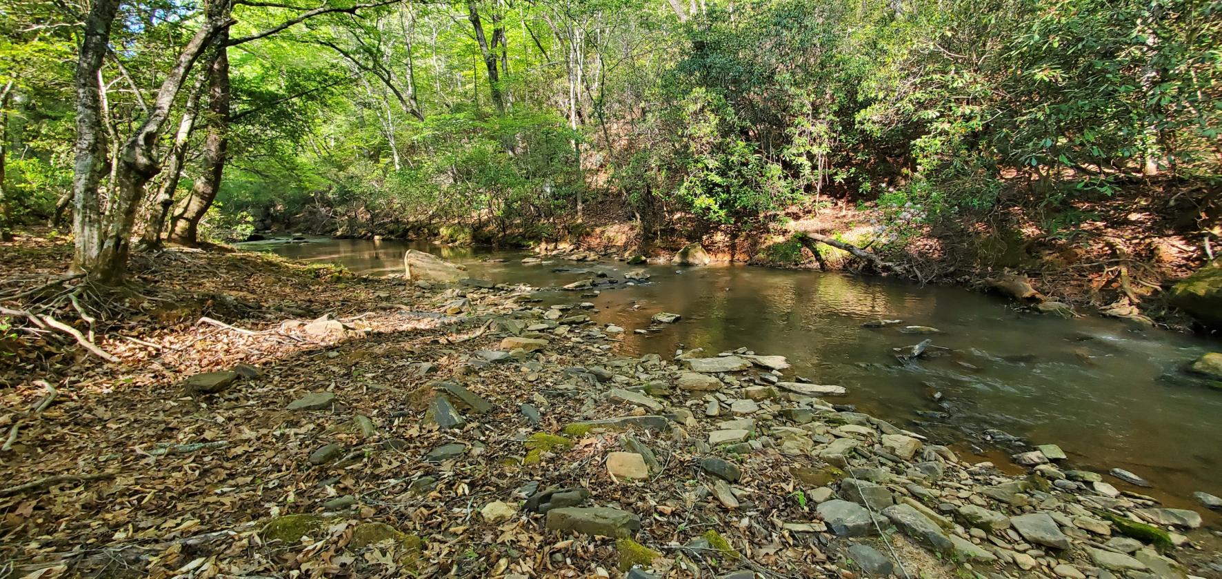 1,060 Self-Sustaining Acres in Alexander County - photo 17