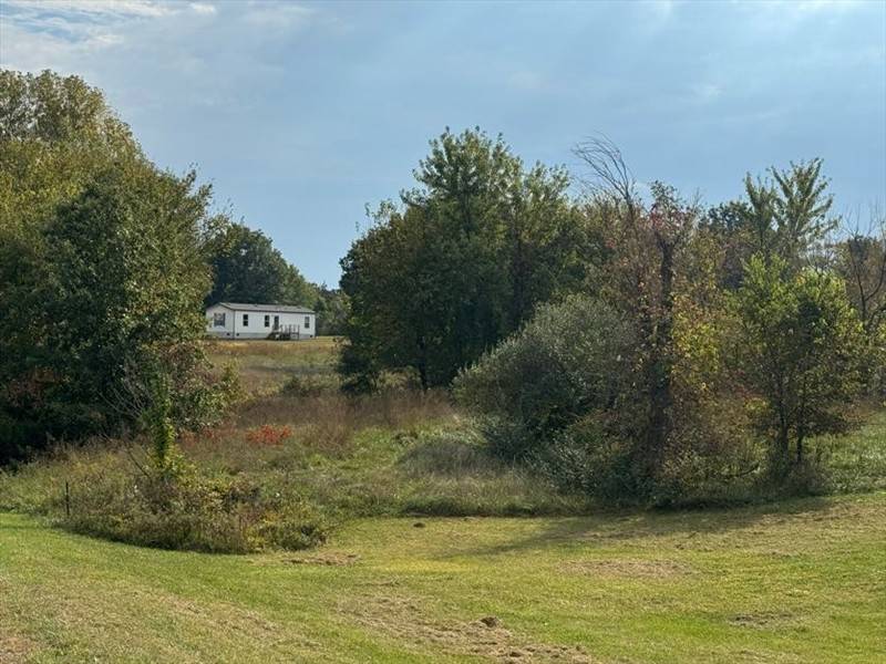 Horse Property for sale.