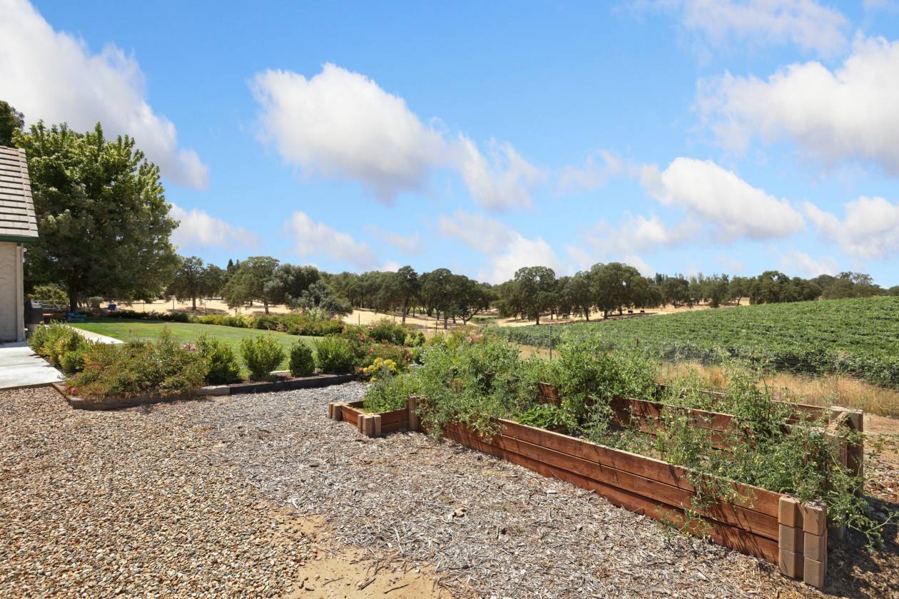 Estate with 7 pastures, 2 homes, lake, Vineyard - photo 7