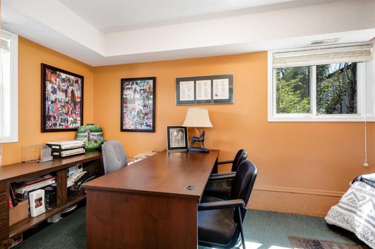 **Exceptional Turnkey Equine Agri-Business*** - photo 6