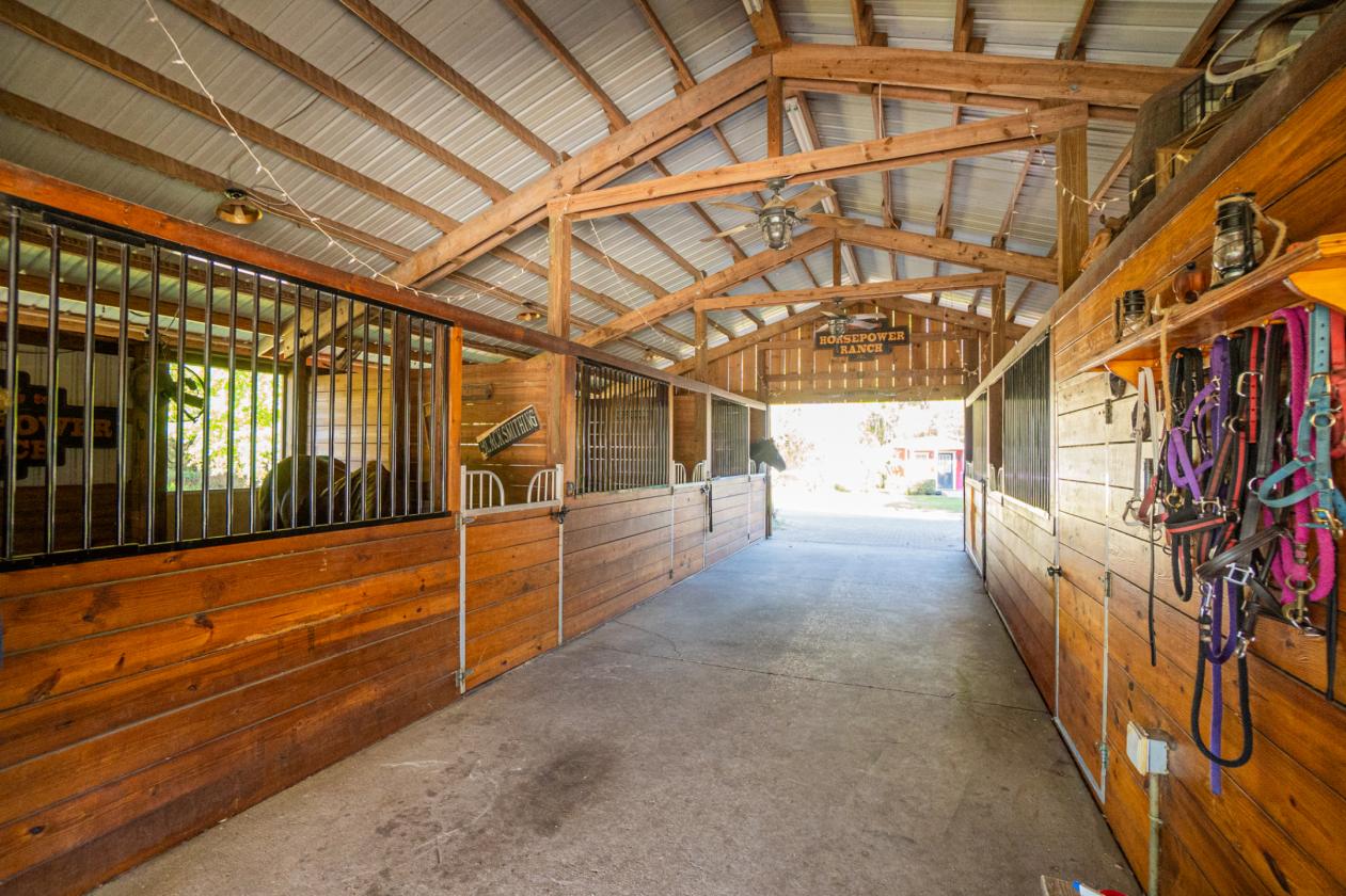 21.75 Acres in Central Florida Horse Country - photo 15