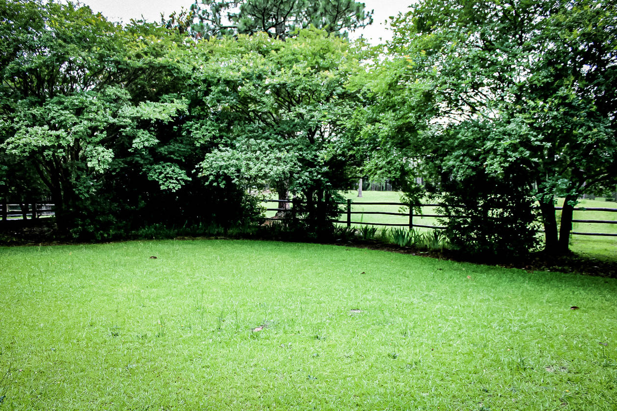 Truly Unique Horse Farm in the Heart of Southern Pines... Vass, Moore