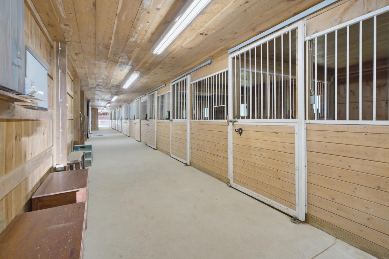 Equestrian Estate with endless possibilities - photo 6