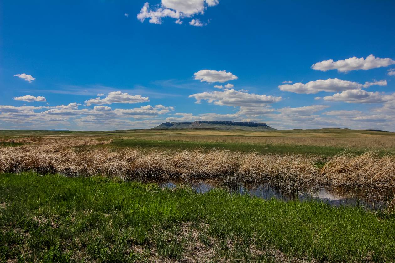 Horse Property for sale.