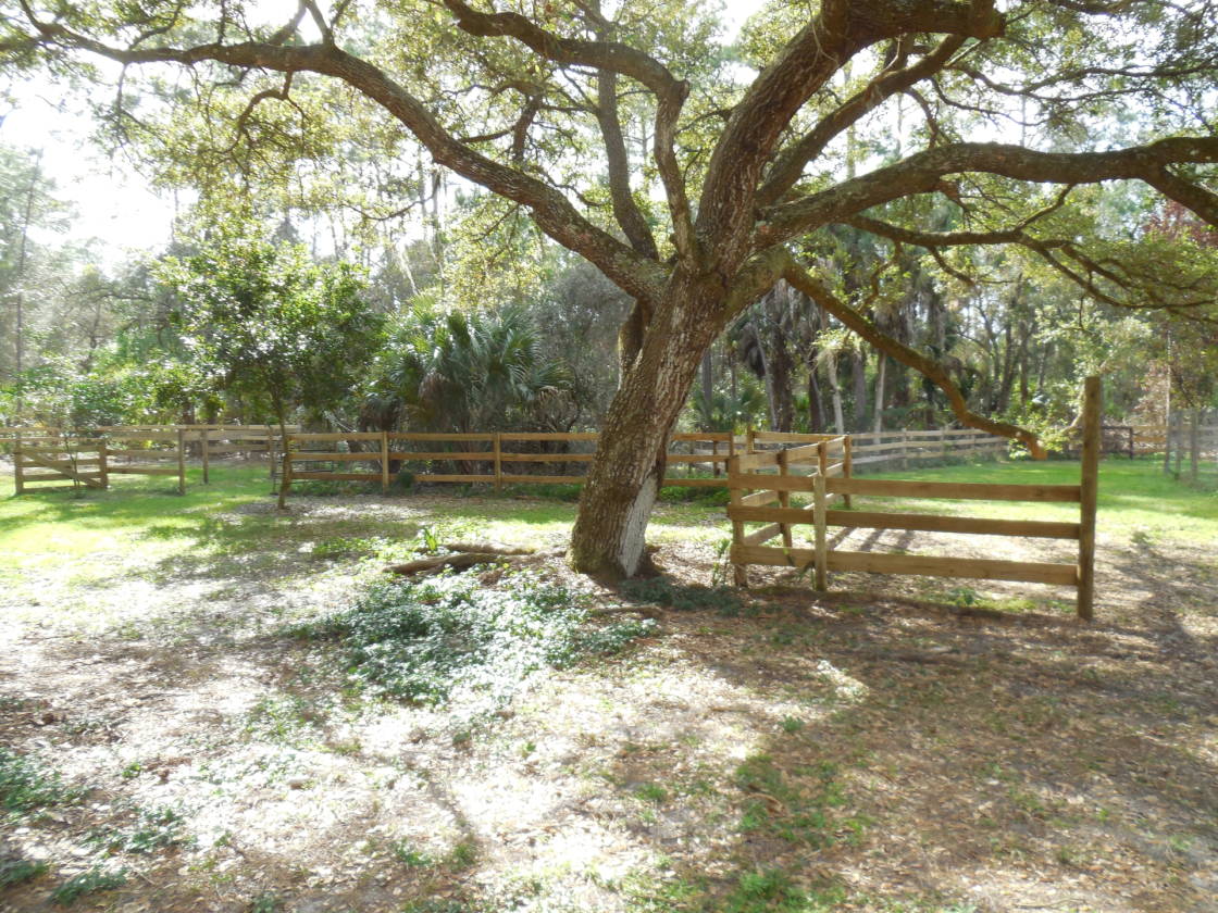 3 Acres near Myakkahatchee Park in North Port for sale... North Port