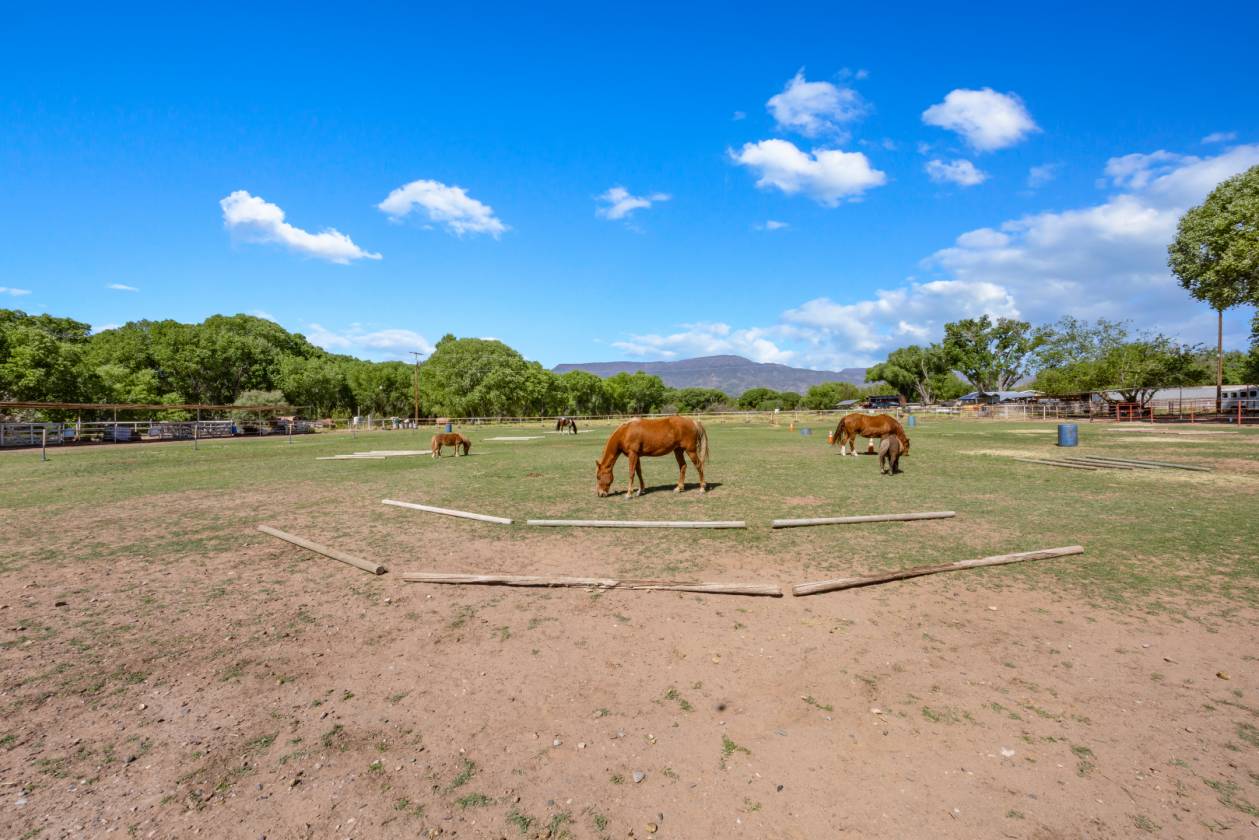 Riverfront Horse Property Near Sedona - photo 20