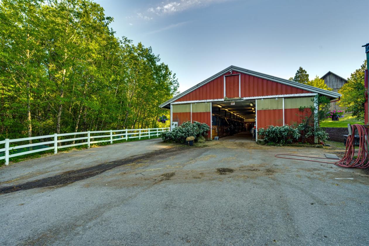 Luxury equestrian estate with pool, barn, arenas - photo 21
