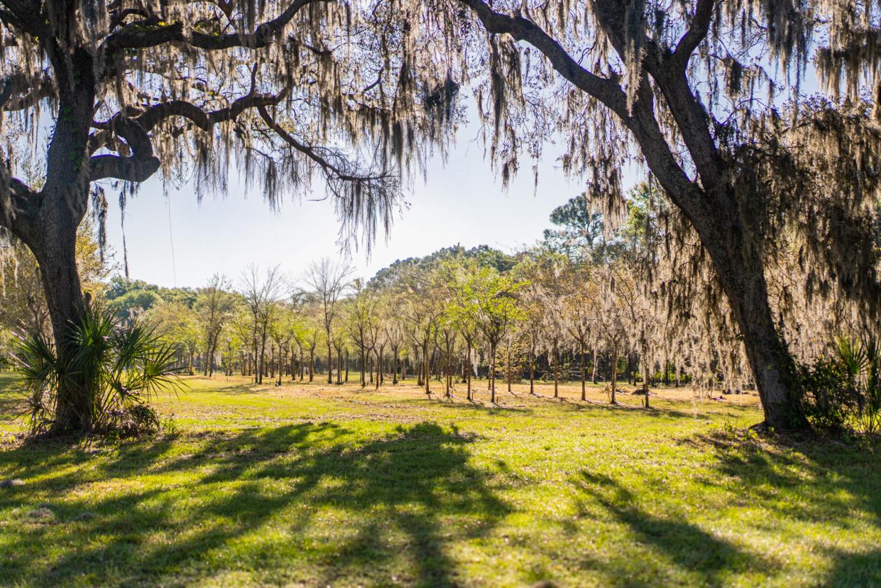 21.75 Acres in Central Florida Horse Country - photo 29