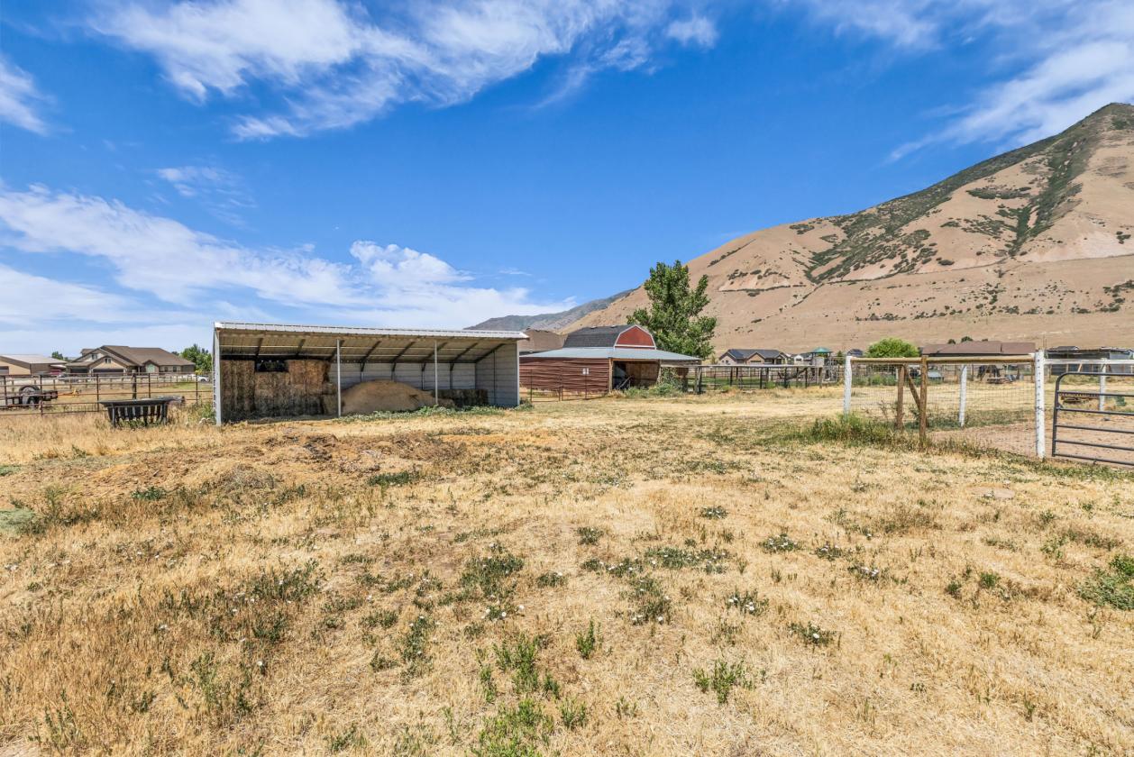 Price Reduced! Horse property  on 5 acres - photo 18