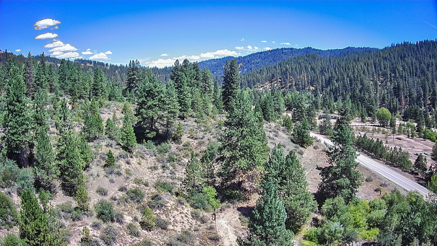 Mountain horse property backing to Boise Forest - photo 18