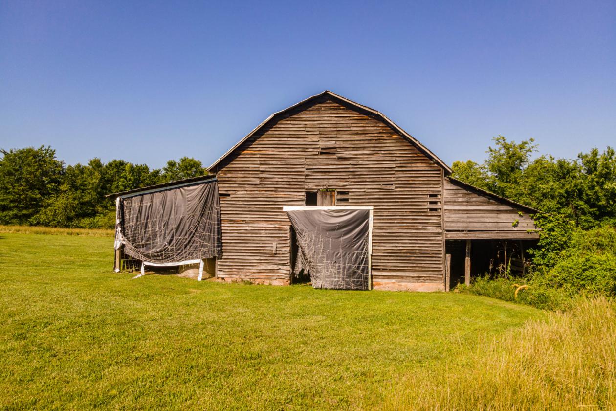 SCENIC BEAUTIFUL FARM - photo 11