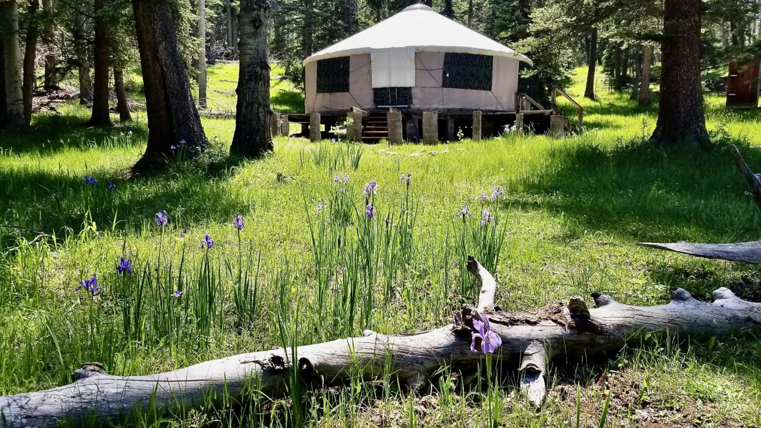 Horse Property Bordering Carson National Forest - photo 30
