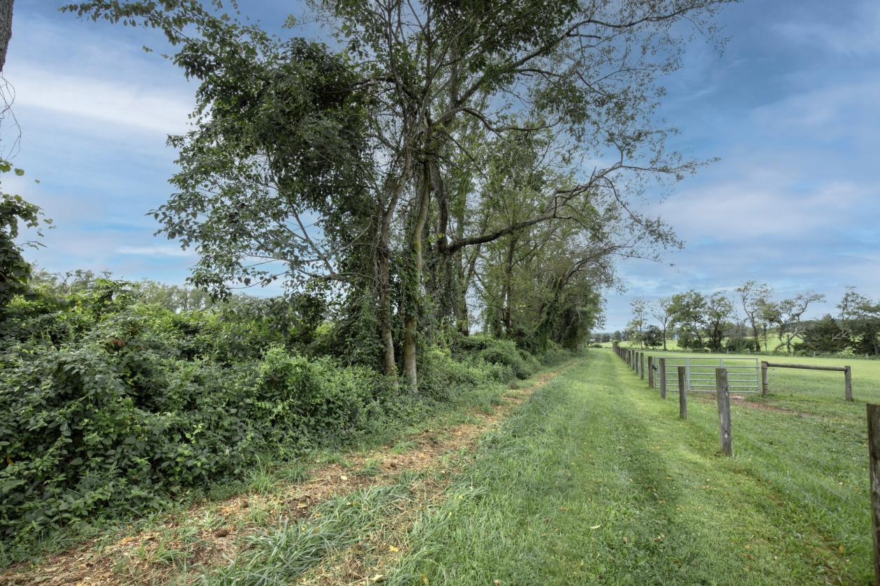 Beautiful Horse Farm in Amwell Valley - photo 4