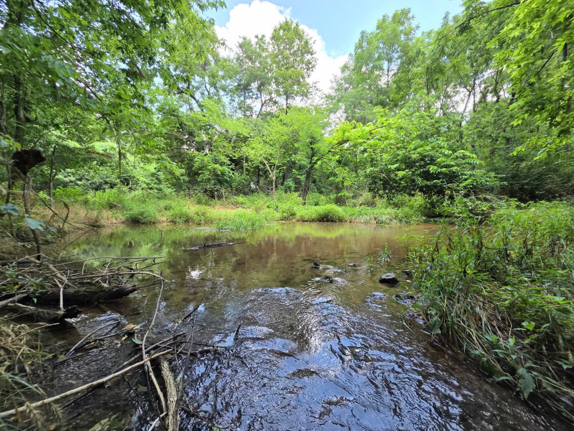 Legacy 56 ac. Estate- 7,800 sqft home, barn, creek - photo 15