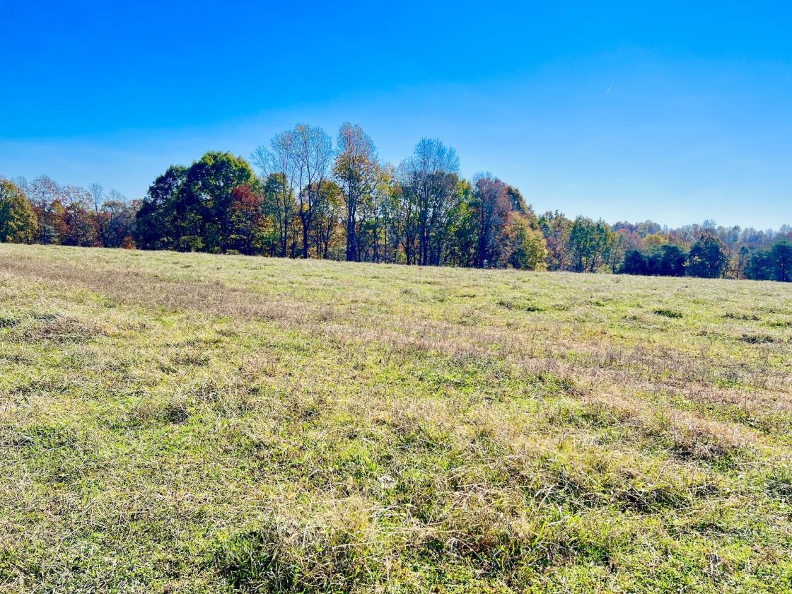 252 ACRES M/L NEAR LAKE CUMBERLAND - photo 7
