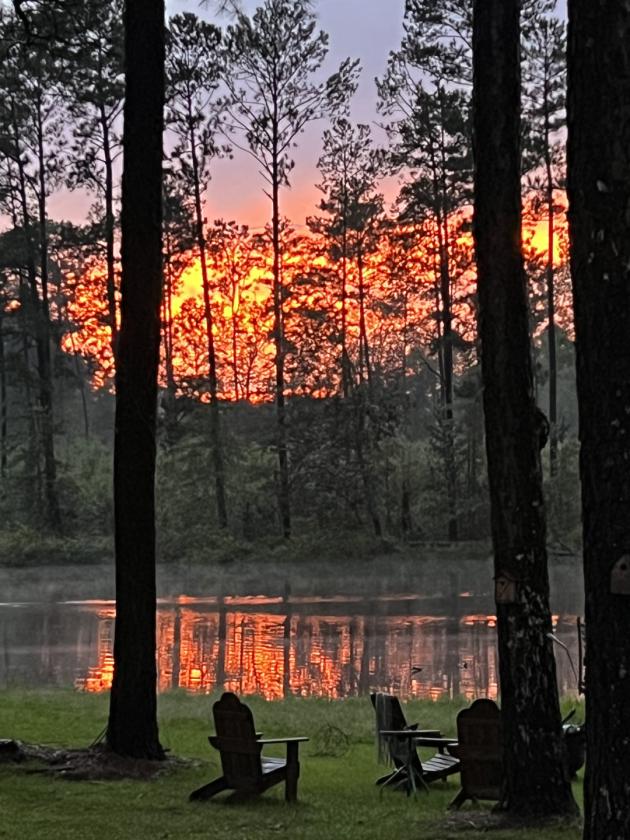 Equestrian Farm with 2 homes and stocked pond - photo 8