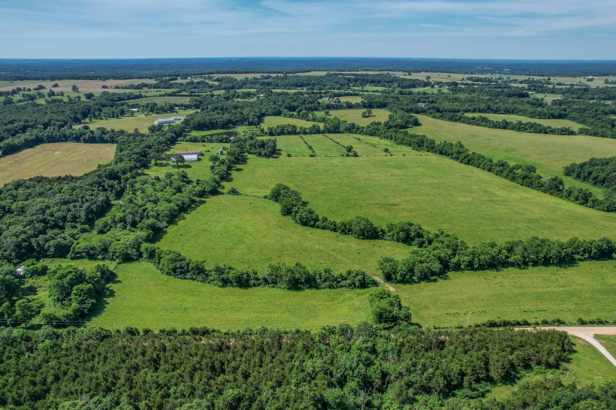 Luxury 227 Acre Horse Property - photo 15