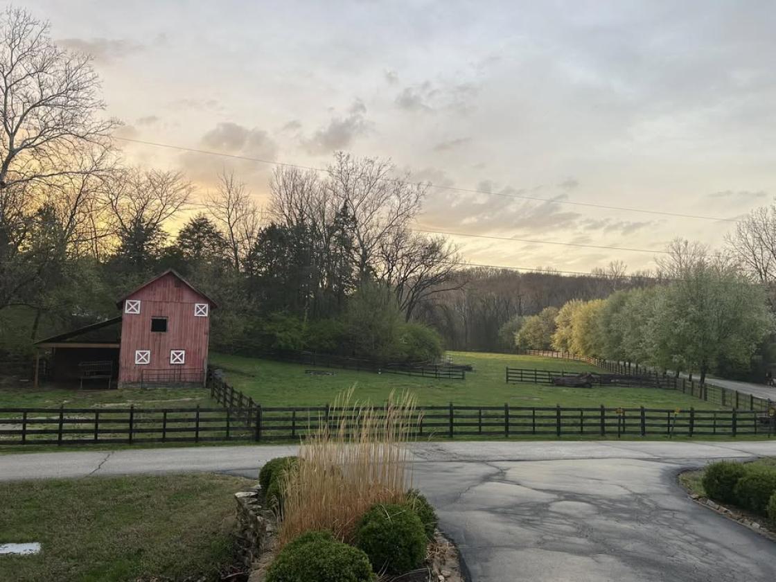 Painted Pasture Farms - photo 3