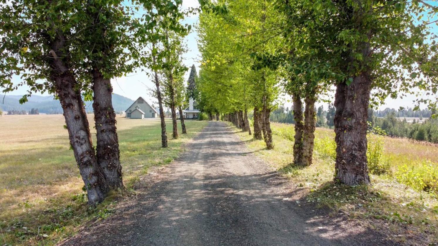 Spectacular Horse Property with HUGE barn - photo 30