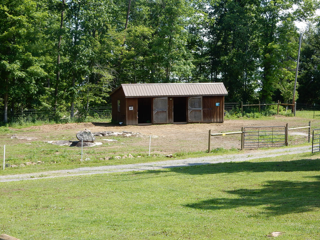 Mini Horse Farm In Lovely Tennessee Clarkrange Fentress County