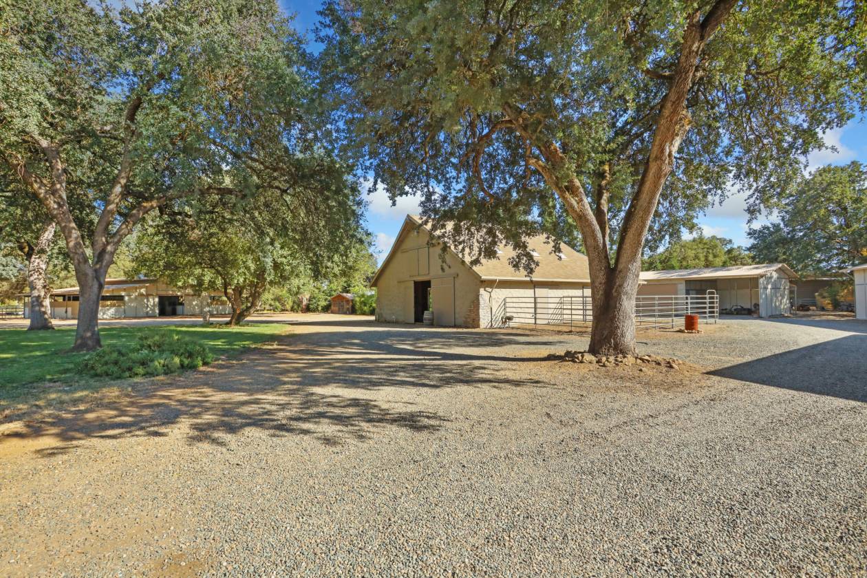 Estate with 7 pastures, 2 homes, lake, Vineyard - photo 22