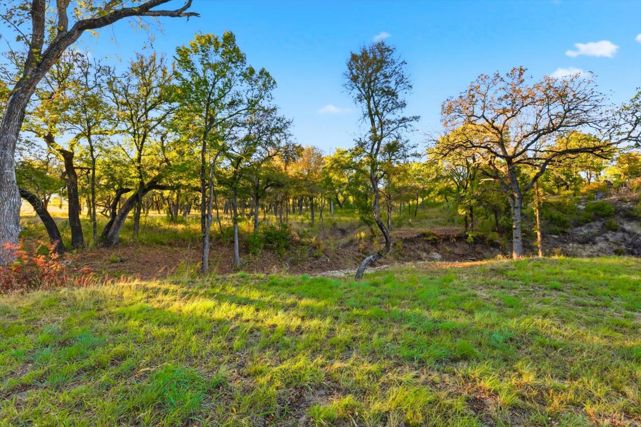 40 Acre Ranchette Near Bluejack Ranch in Aledo ISD - photo 26