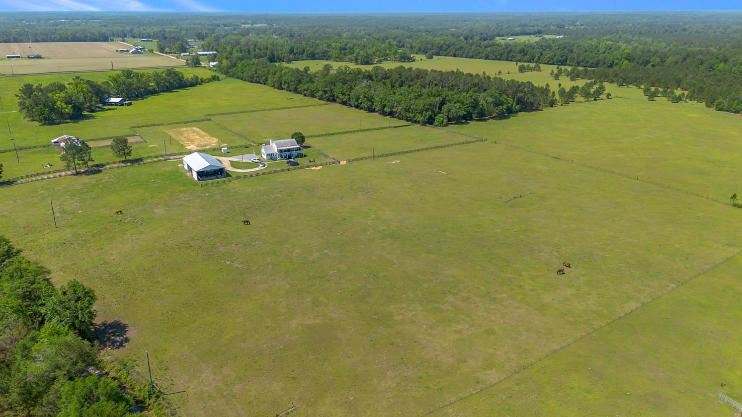 15 Acres Pasture - Horse or Livestock Ready! - photo 4