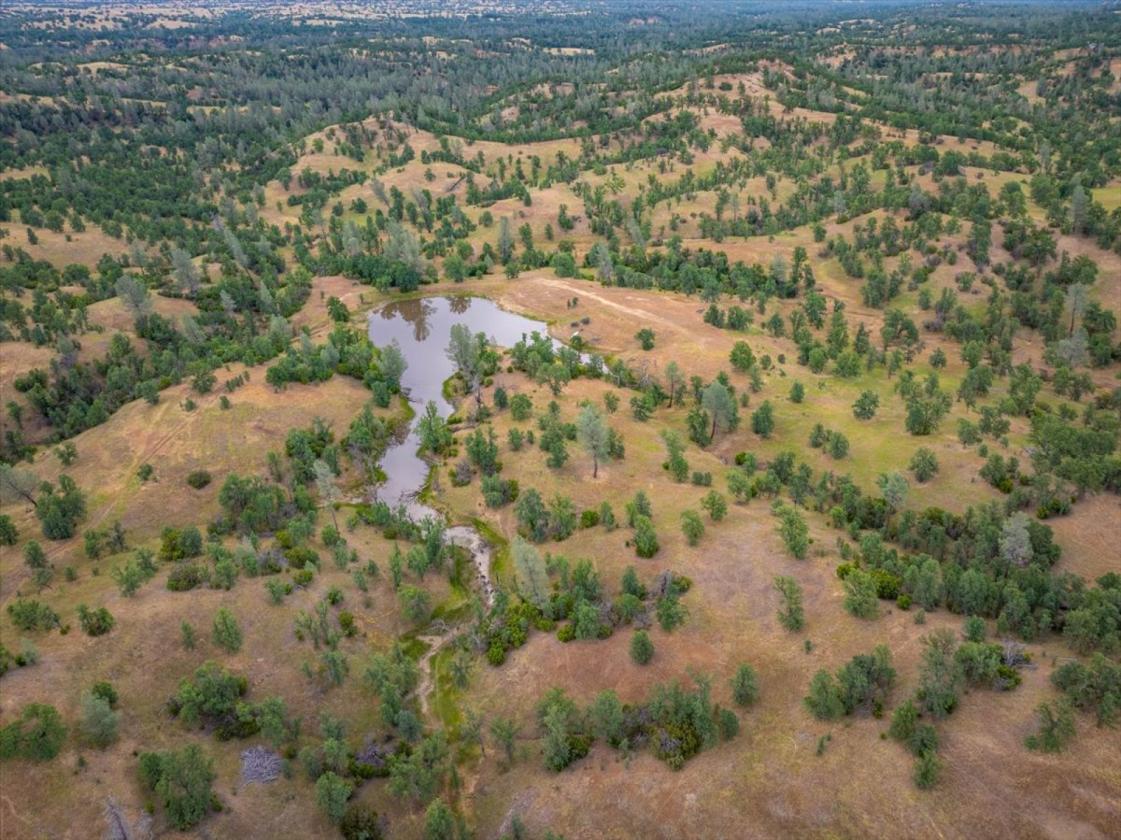 480 Acre Litte Crane Creek Ranch - photo 11