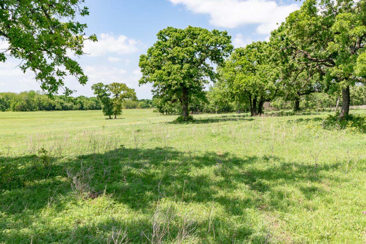 Scenic 64 Acre Horse & Cattle Property - photo 29