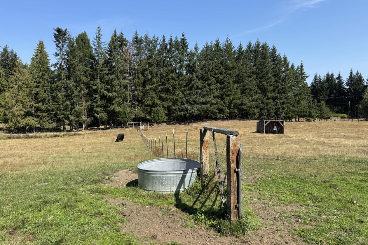 18+ Acre Turn-Key Ranch With Mountain Views - photo 8