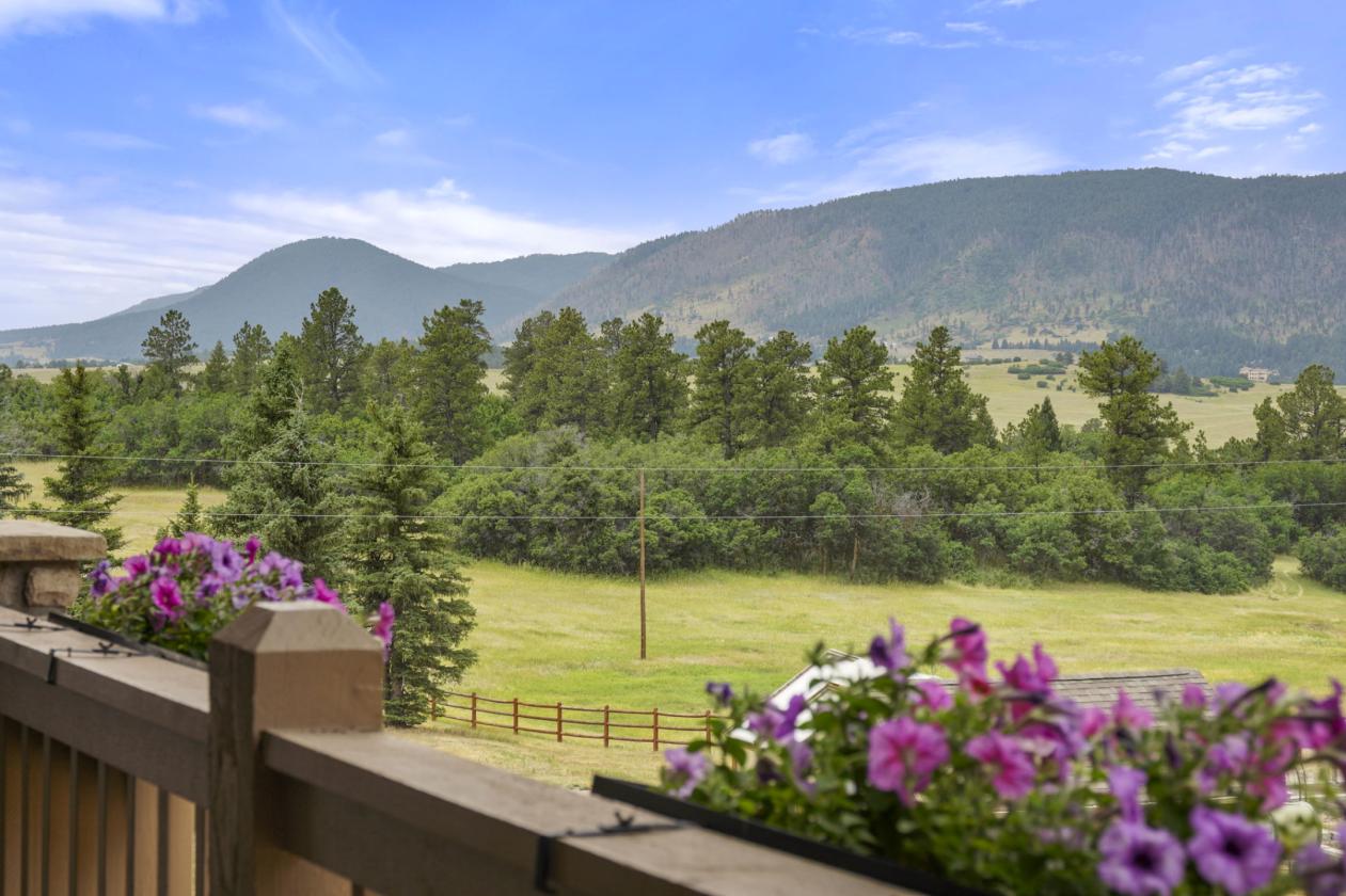 50 Acre Equestrian Estate - photo 4