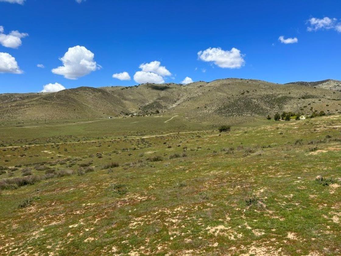 BEAUTIFUL AGUA DULCE VIEWS 160 ACRES - photo 2