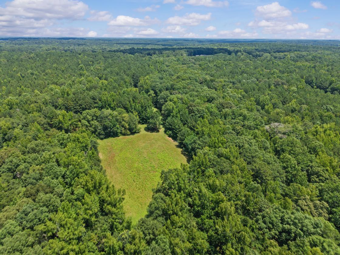 1028 ACRES - SPORTING/EQUESTRIAN - photo 7