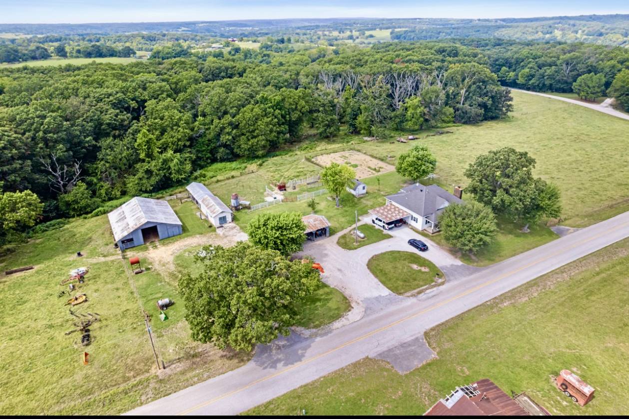 206 beautiful mostly level land - photo 3