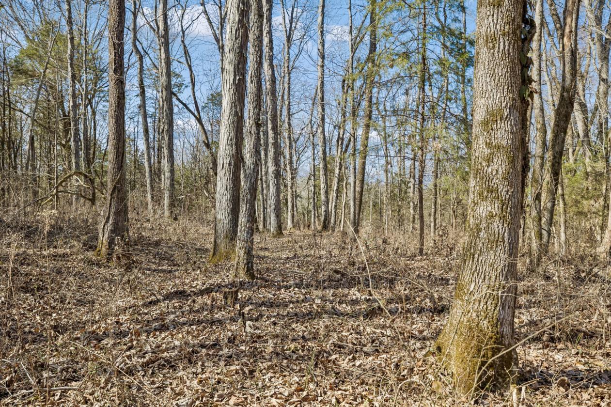 175 Gorgeous Acres - photo 21