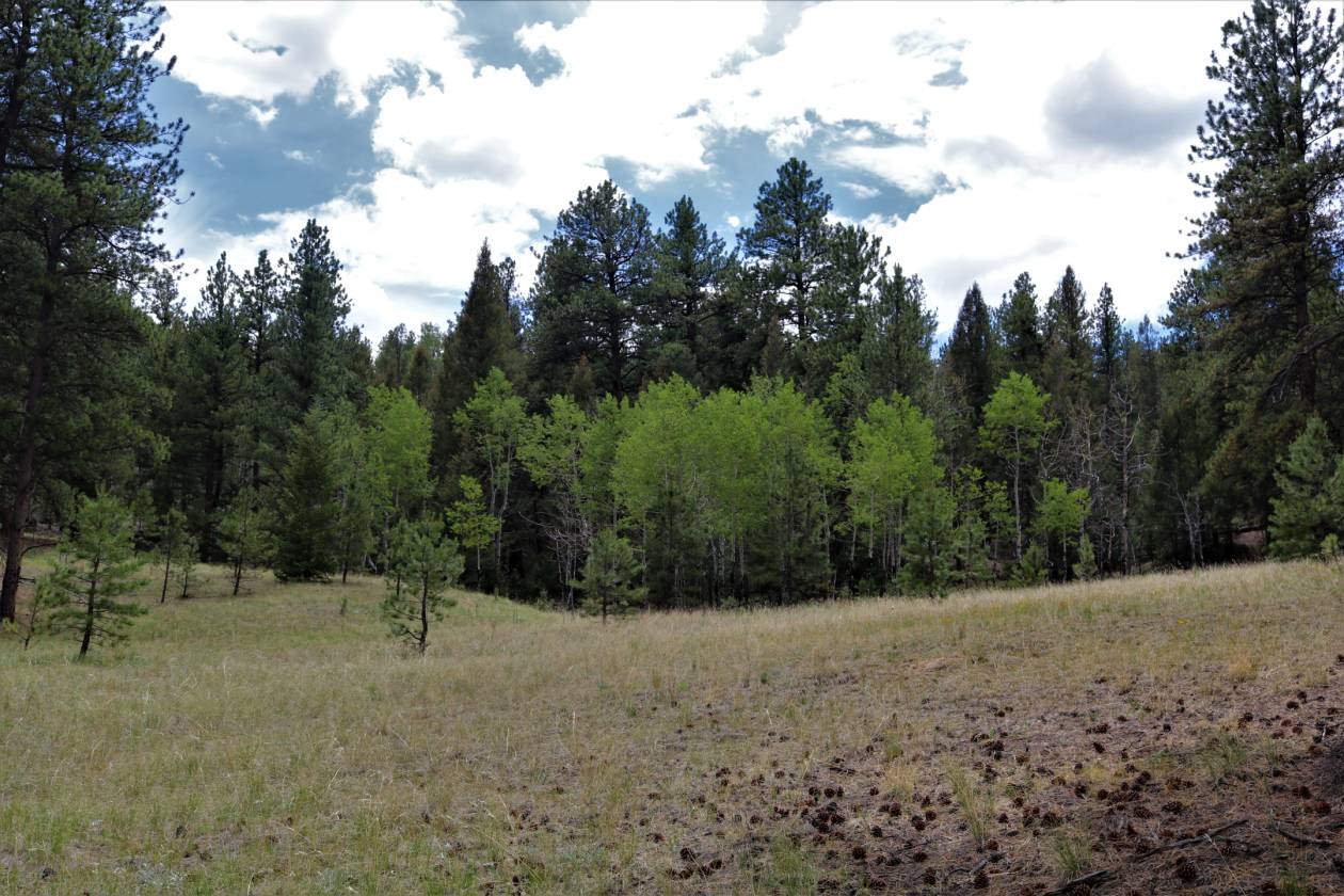 Agate Creek Hartsel, Park County, Colorado