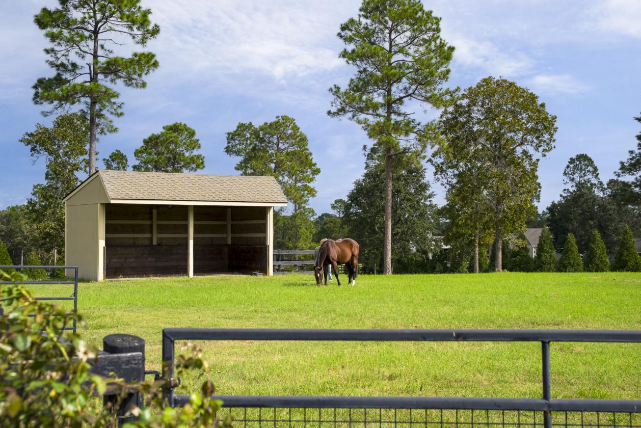 Equestrian Estate with Koi Sanctuary - photo 27
