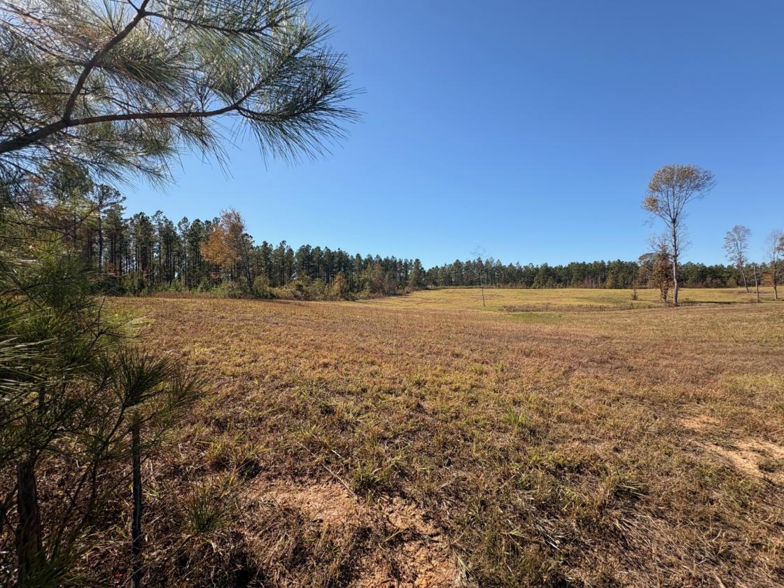160 Acres in Shelby County w/ pastures and lake - photo 8
