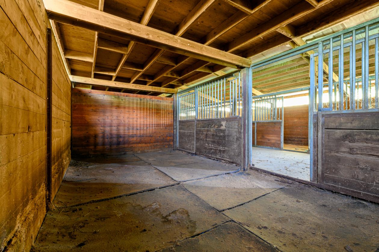 Amazing Farmhouse/Equestrian Property - photo 11