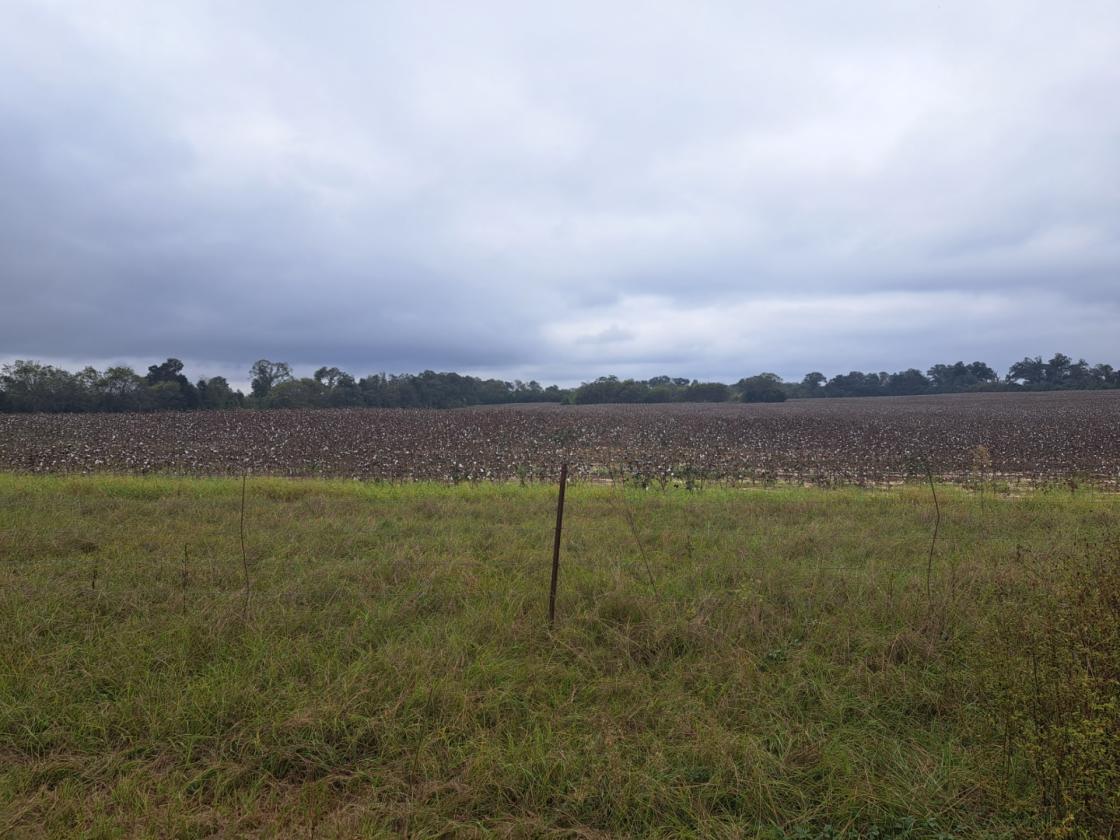 Prime 76 acre farm in Jackson County - photo 9