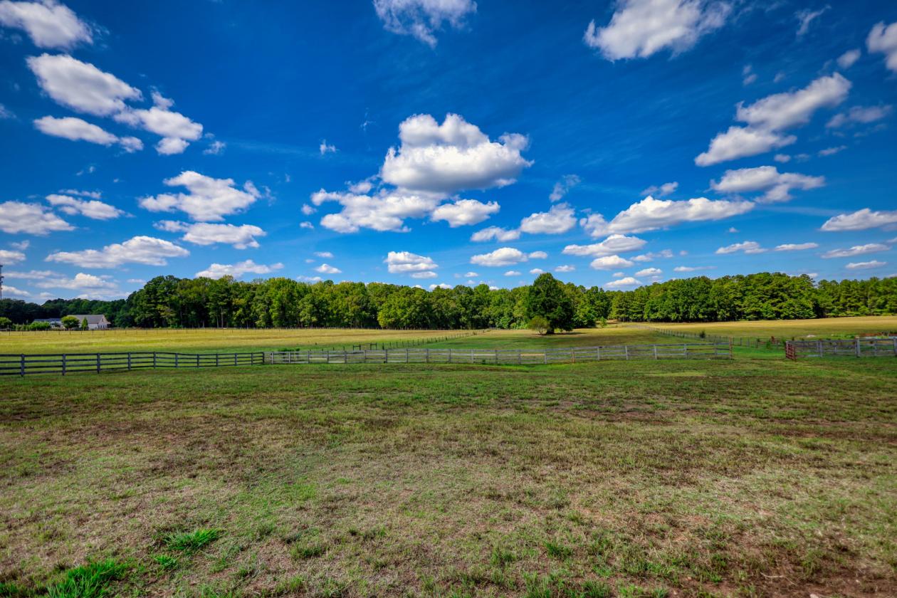 Modern ranch home on 5ac, 3 stall barn - photo 8