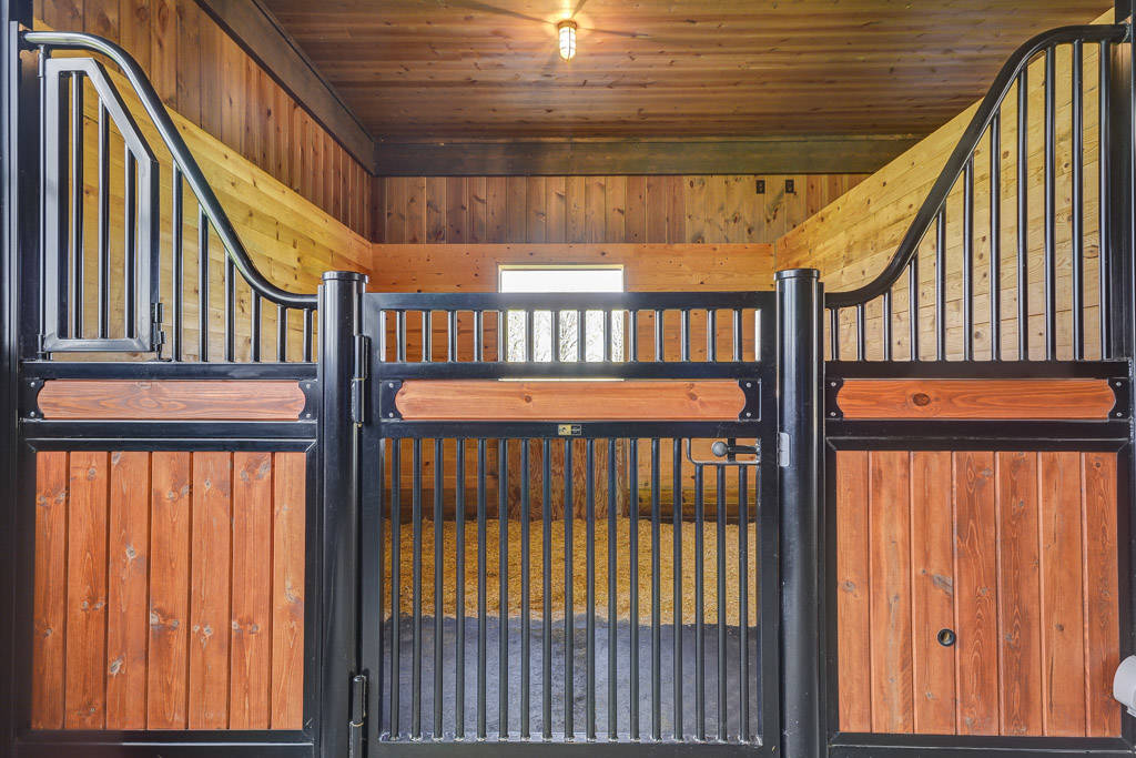 Equestrian Estate for Sale Dexter, Washtenaw County, Michigan