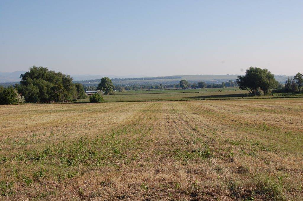 Exceptionally Beautiful 18 Acre Secluded Lot at the base of