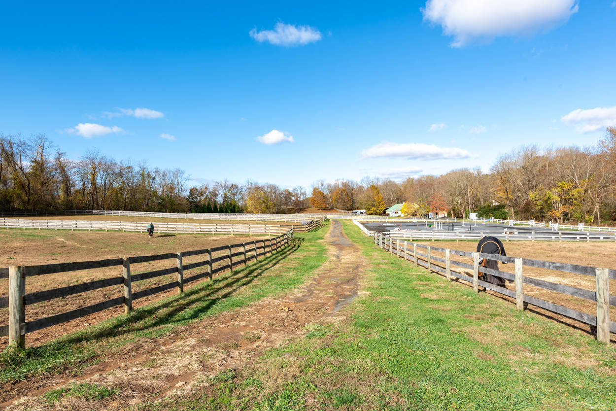 Fabulous Equestrian Property in Virginia Hunt Country! Delaplane