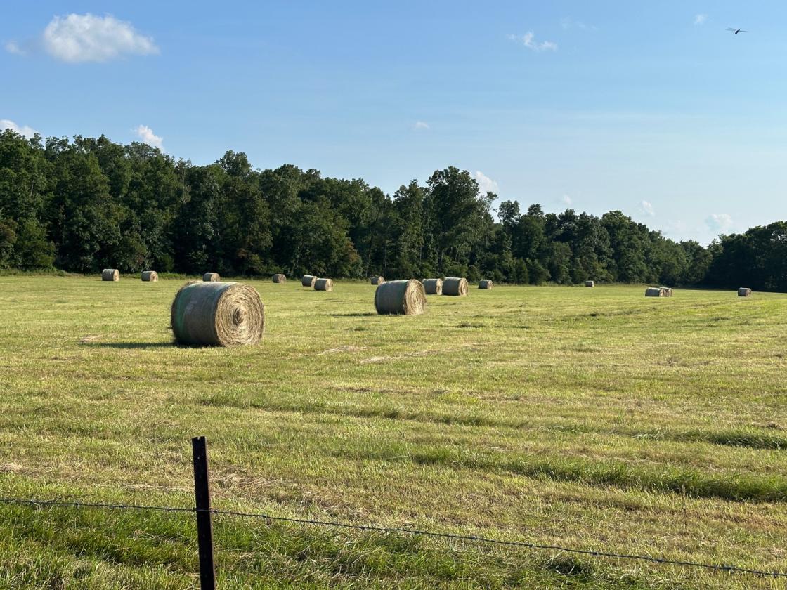 139 Acre Farm - Horse & Livestock Ready - photo 1