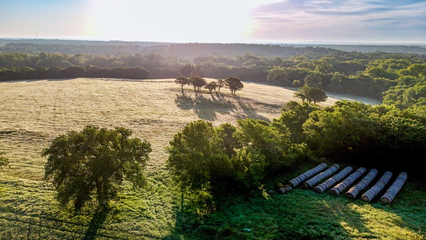 Luxury Equestrian Estate - Wise County - photo 30