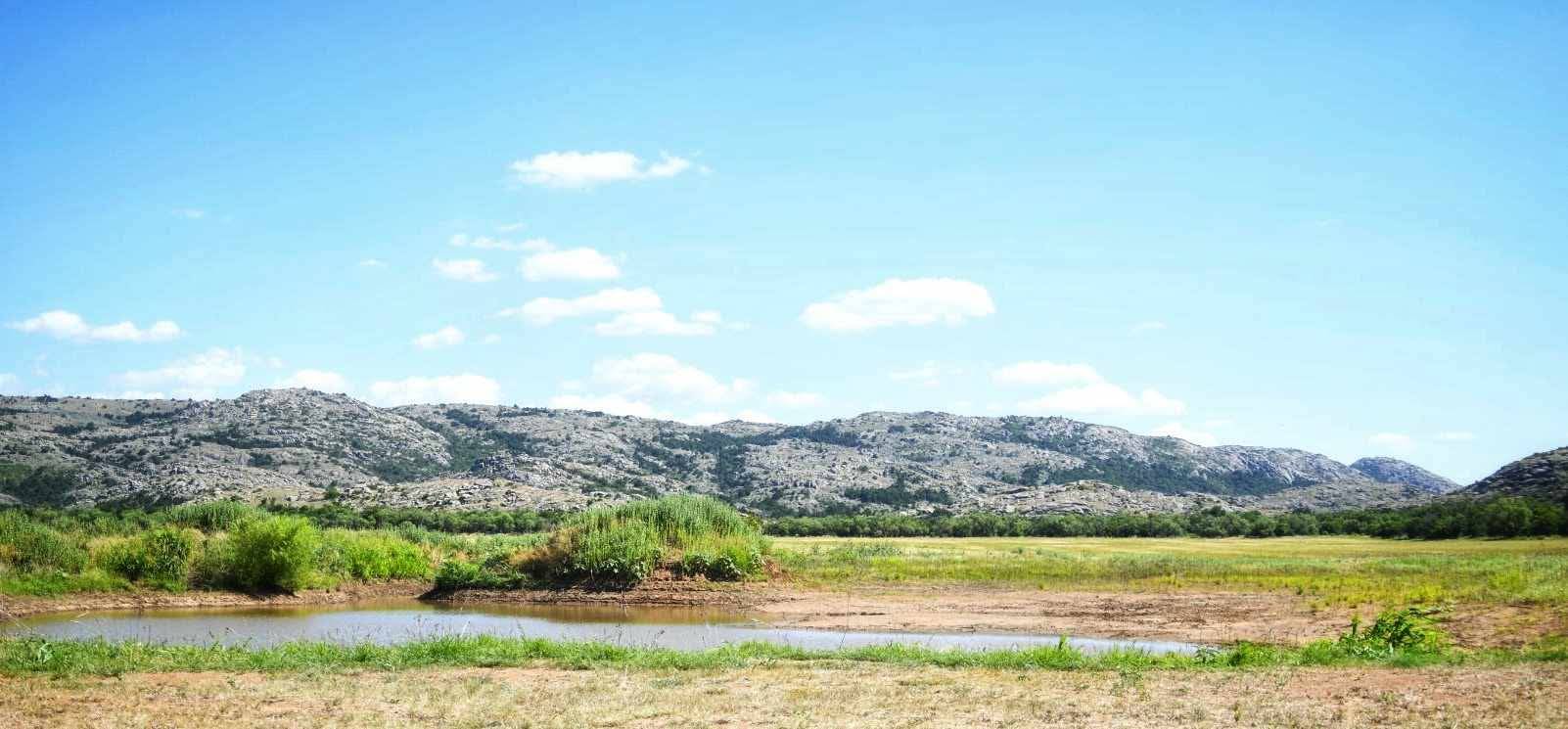 Horse Property for sale.