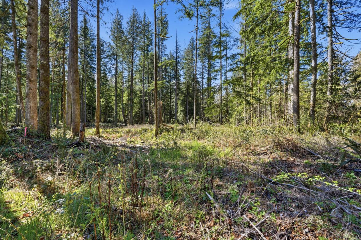5 Acres on the Sandy River w/useable acreage! - photo 26