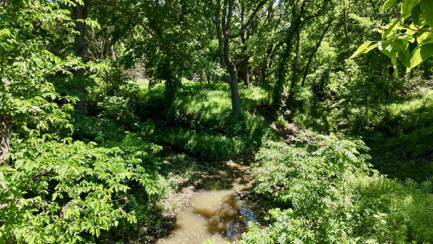 16.1± acre Flint Hills Horse Property - photo 9